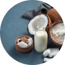 Organic Coconut Milk Powder.